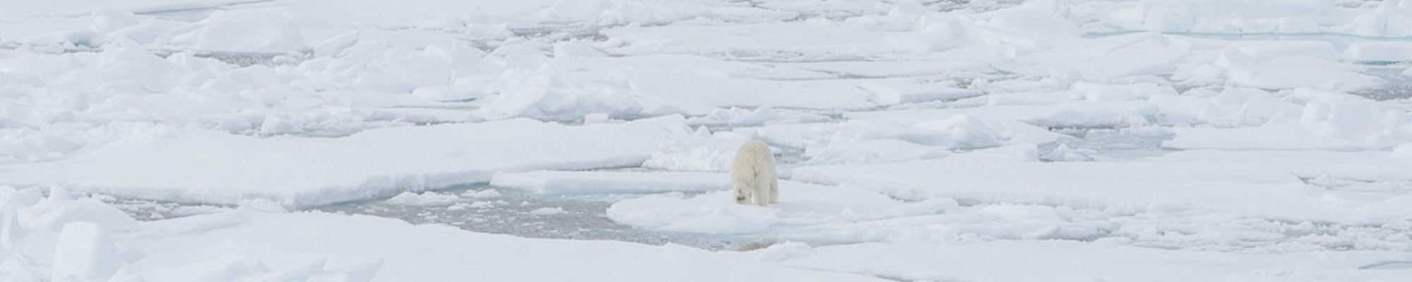 Mongolia & Svalbard