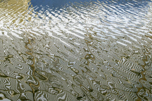 Bremtford Old Boat Sheds Reflection